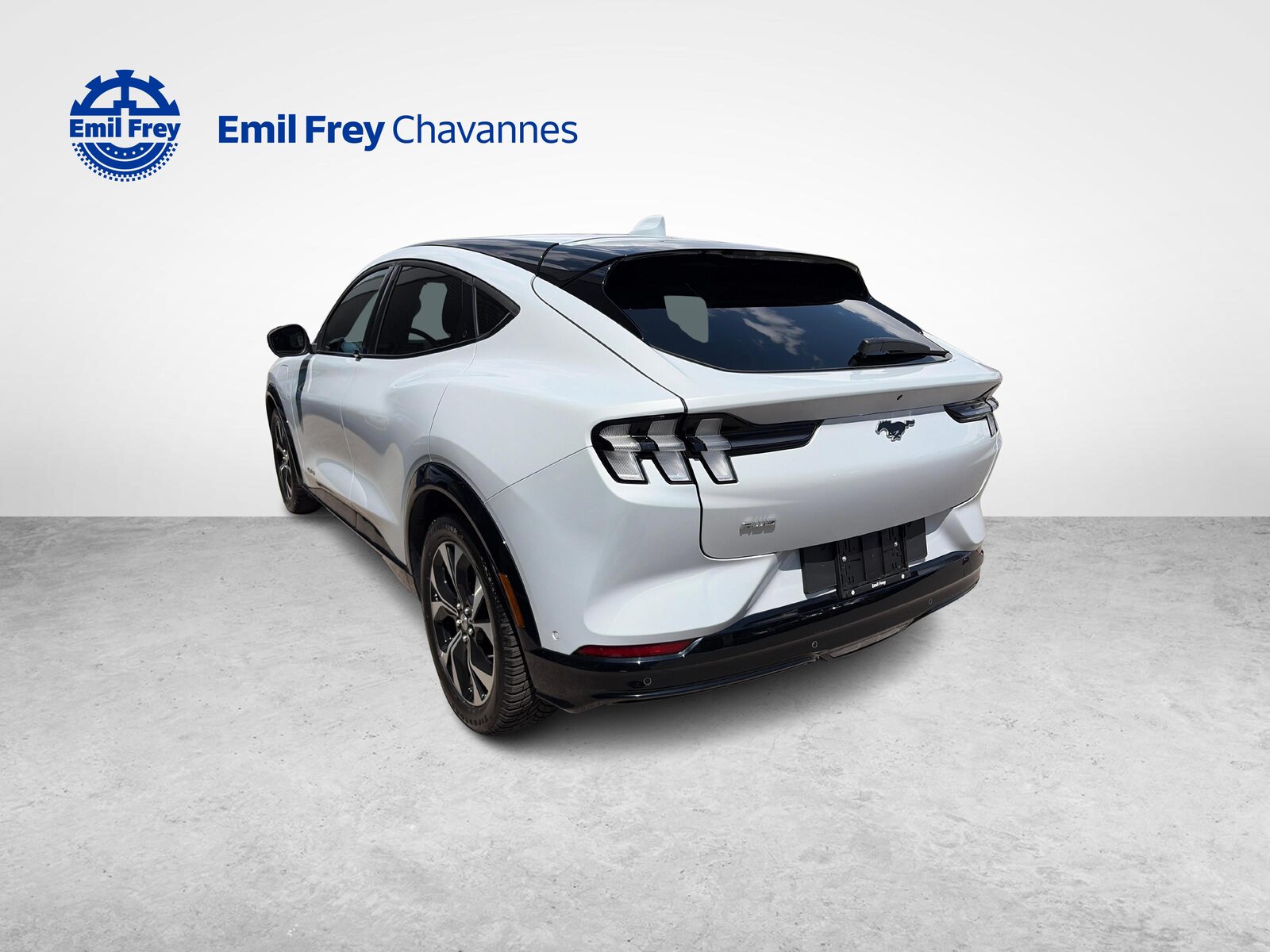 FORD Mustang Mach-E Standard AWD, Elettrica, Occasioni / Usate, Automatico - 5