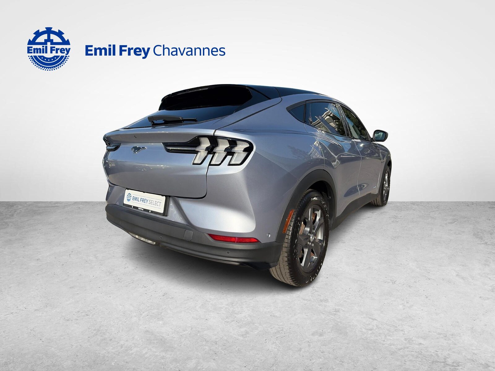 FORD Mustang Mach-E Standard, Électrique, Occasion / Utilisé, Automatique - 5