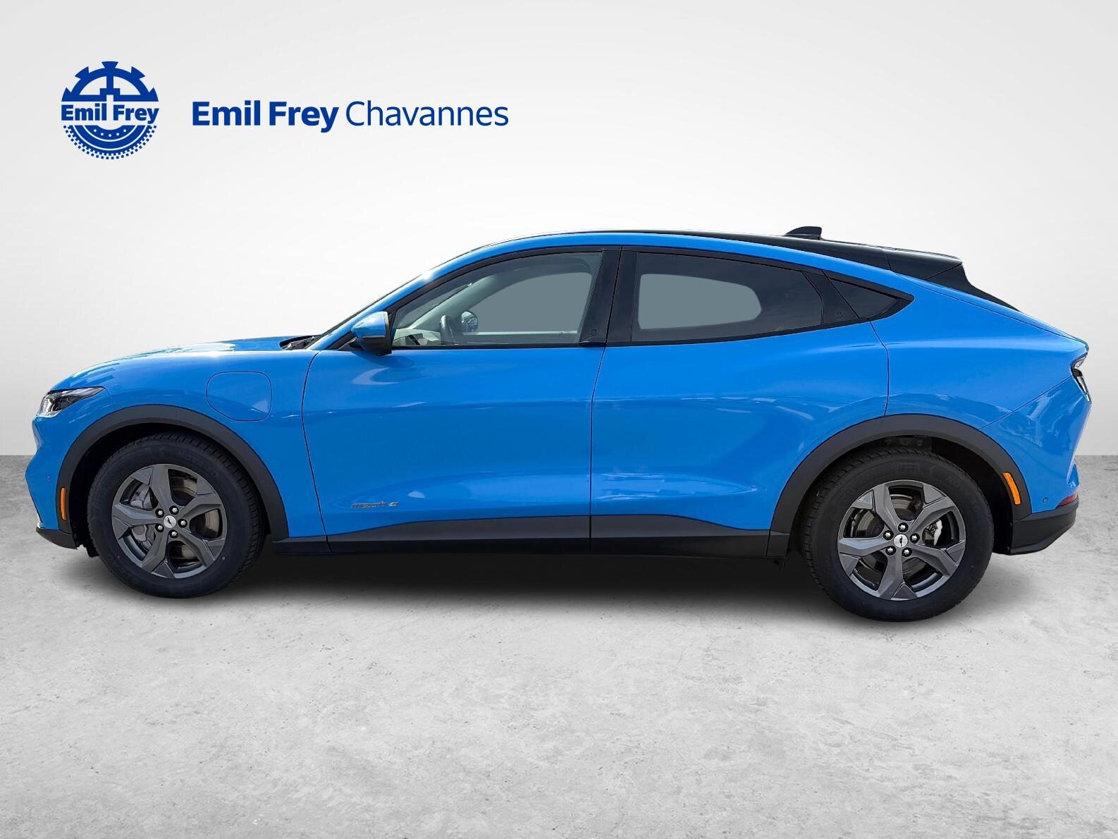 FORD Mustang Mach-E Standard, Electric, Second hand / Used, Automatic - 6