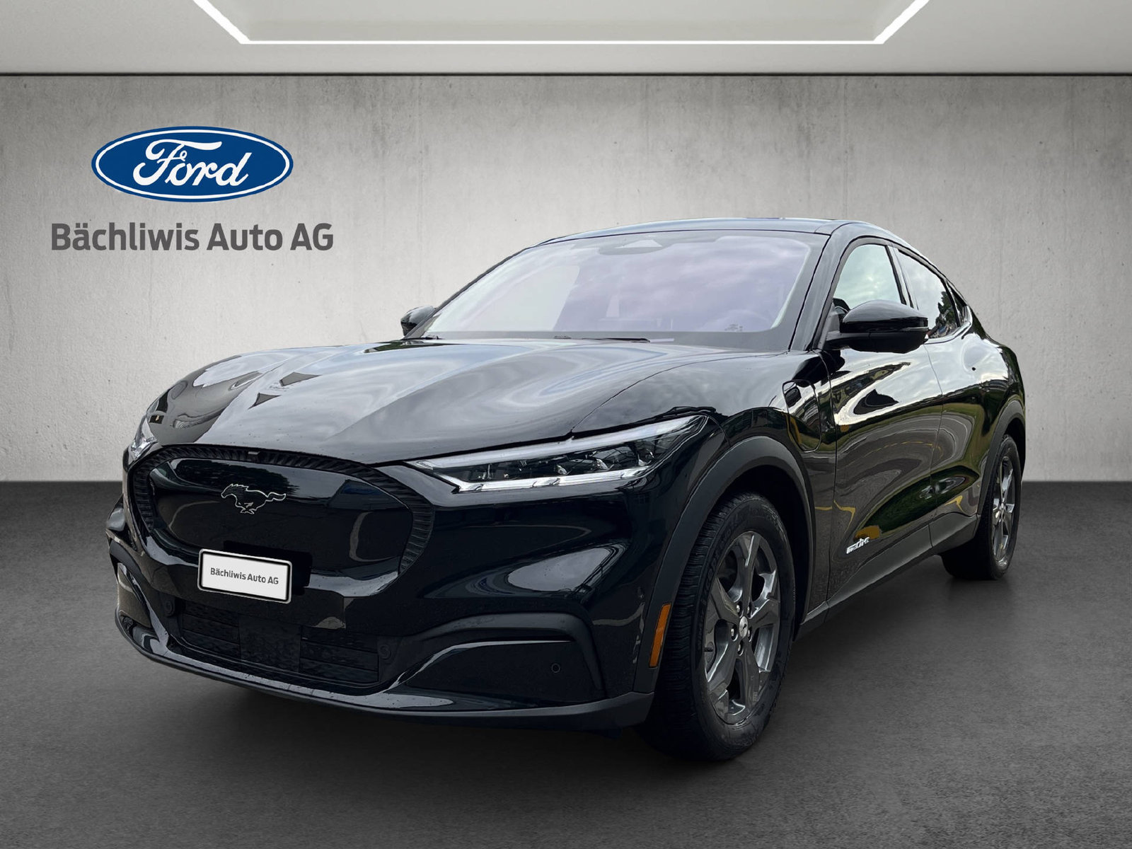 FORD Mustang Mach-E Standard, Elektro, Occasion / Gebraucht, Automat