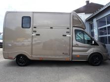 FORD Pferdetransporter Sodiak, Diesel, Ex-demonstrator, Automatic - 3