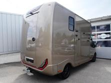 FORD Pferdetransporter Sodiak, Diesel, Ex-demonstrator, Automatic - 4