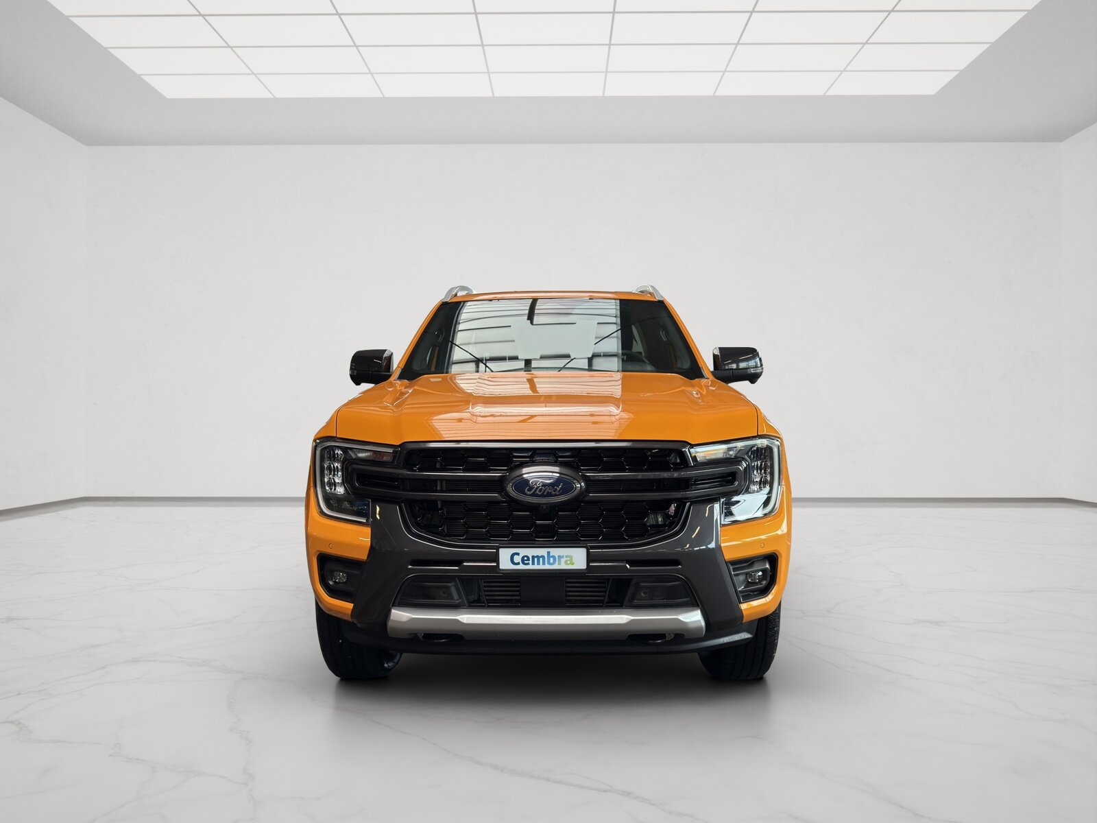 FORD Ranger Wildtrak 2.0 Eco Blue e-4WD Automat AHK 3500KG, Diesel, Occasion / Gebraucht, Automatik - 4