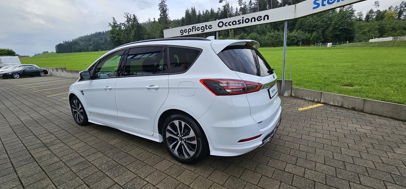 FORD S-Max 2.0 TDCi 190 ST-Line 4x4, Diesel, Occasion / Utilisé, Automatique - 7
