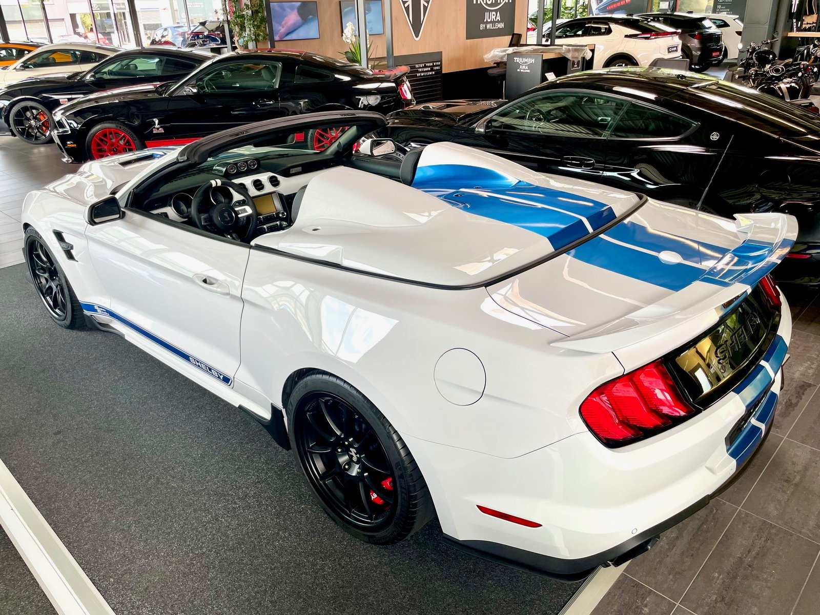 FORD Shelby Supersnake Speedster, Essence, Occasion / Utilisé, Automatique - 3