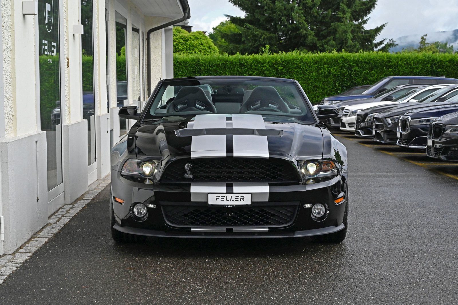 FORD Shelby GT500, Benzin, Occasion / Gebraucht, Handschaltung - 3