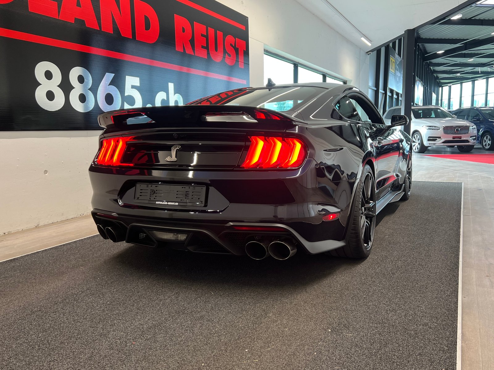 FORD Shelby GT 500, Benzina, Occasioni / Usate, Automatico - 6