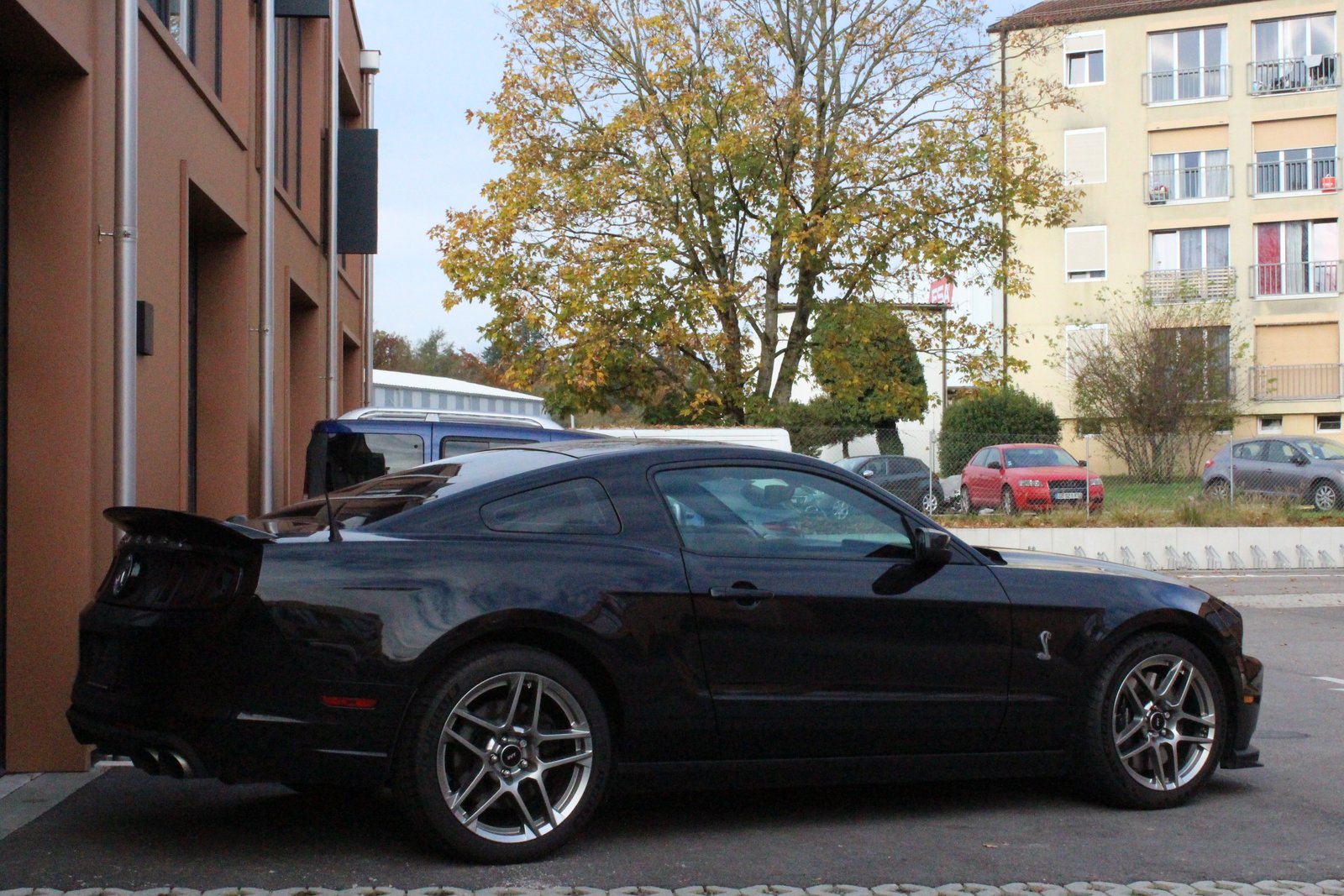 FORD Shelby GT500 5.8 SVT - "660 cv / Sièges Recaro / 1ère main, Benzin, Occasion / Gebraucht - 4