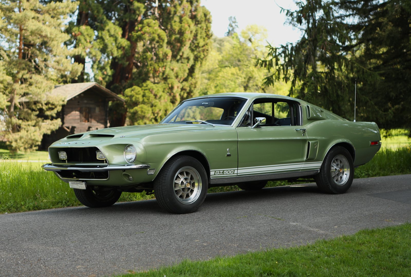 FORD Shelby GT 500 1968