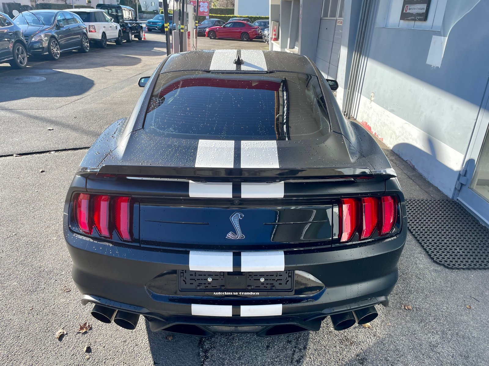 FORD SHELBY GT500 RECARO, Benzin, Occasion / Gebraucht, Automatik - 4