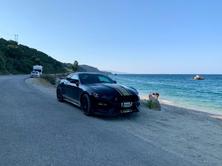 FORD Shelby, Petrol, Second hand / Used - 2