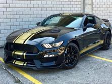 FORD Shelby, Petrol, Second hand / Used - 3