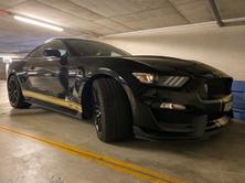 FORD Shelby, Petrol, Second hand / Used - 4