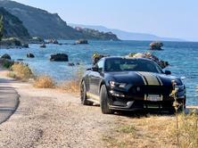 FORD Shelby, Petrol, Second hand / Used - 5