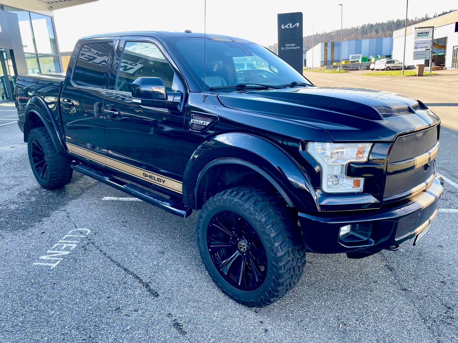 FORD Shelby F150 Offroad