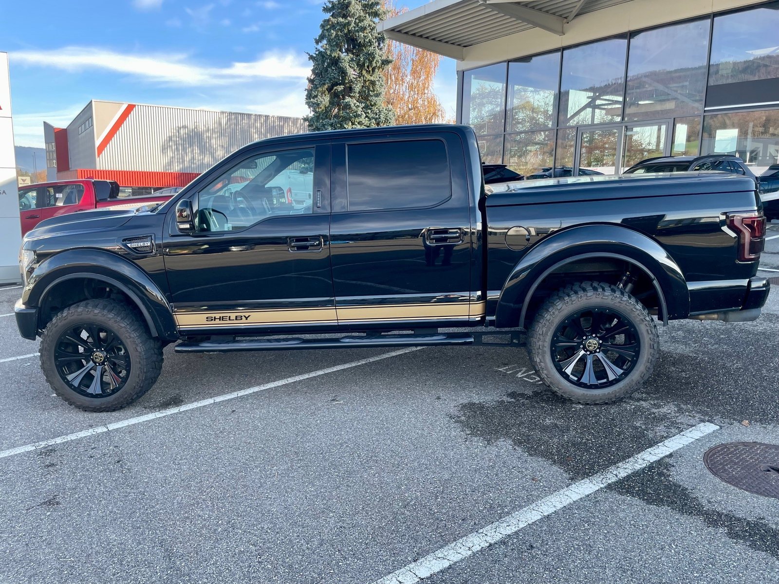 FORD Shelby F150 Offroad, Essence, Occasion / Utilisé, Automatique - 3