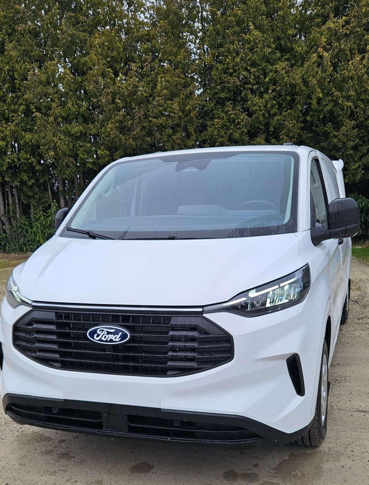 FORD Spez.-Preis L2H1 320 mit Automat 136 Ps mit AHK. LED a, Diesel, Voiture nouvelle, Automatique - 5