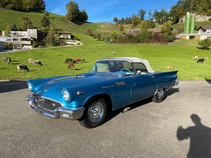 FORD Thunderbird, Occasioni / Usate, Manuale