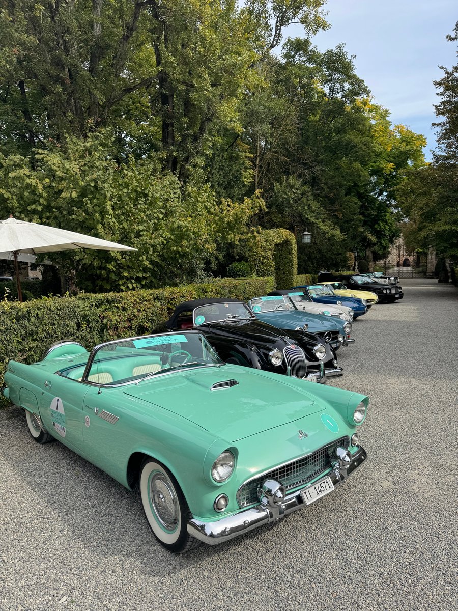 FORD Thunderbird 4.8, Petrol, Classic, Manual - 2