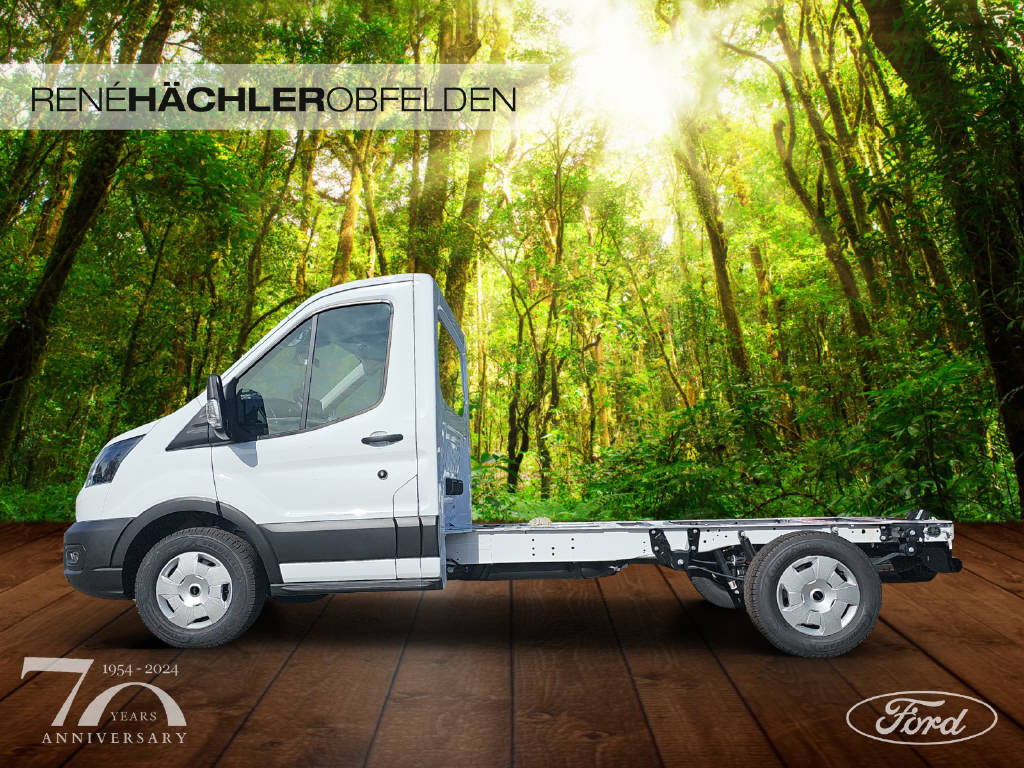 FORD Transit Kab.-Ch. 350 L2 2.0 EcoBlue 165 Trend, Diesel, New car, Manual - 2