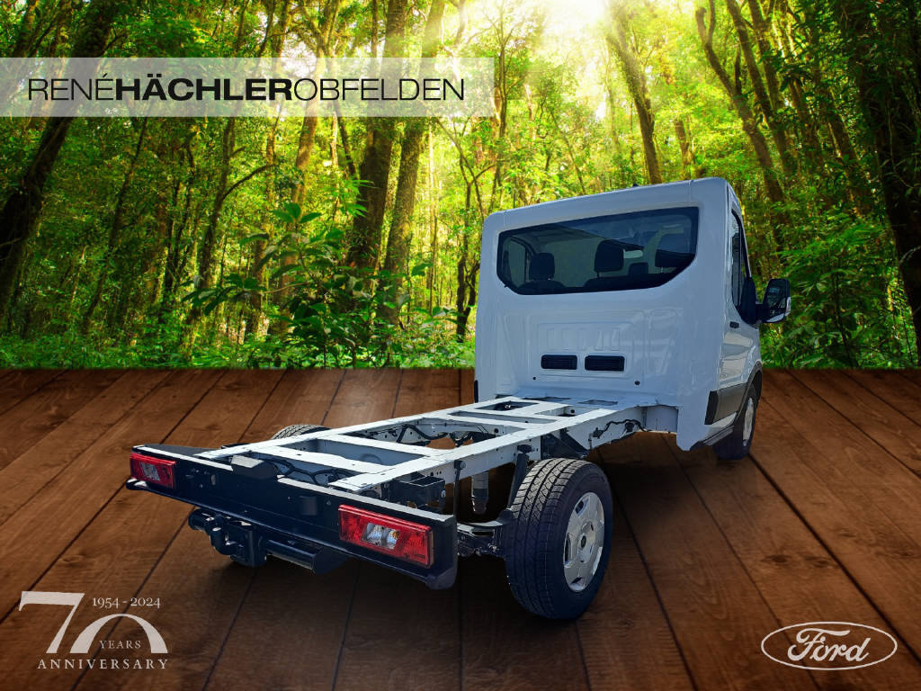 FORD Transit Kab.-Ch. 350 L2 2.0 EcoBlue 165 Trend, Diesel, New car, Manual - 3