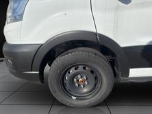 FORD Transit Van 350 L2 Trend 2.0 TDCi 170 FWD A, Diesel, Neuwagen, Automatik - 7