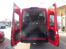 FORD Transit 460 L4 Automat 18Sitzer Standheizung, Diesel, Auto nuove, Automatico - 5