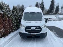 FORD Transit 460 L4 RWD A mit Standheizung und Sitzheizung, Diesel, Neuwagen, Automatik - 2