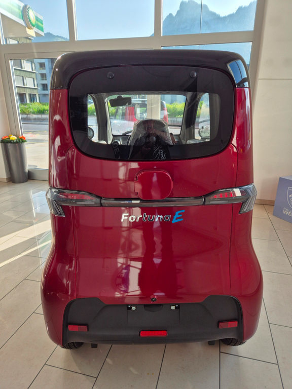 FORTUNA Fortuna Car, Electric, New car, Automatic - 4