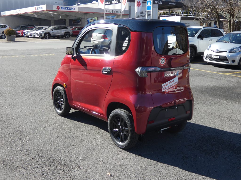 FORTUNA E, Elektro, Neuwagen, Automatik - 6