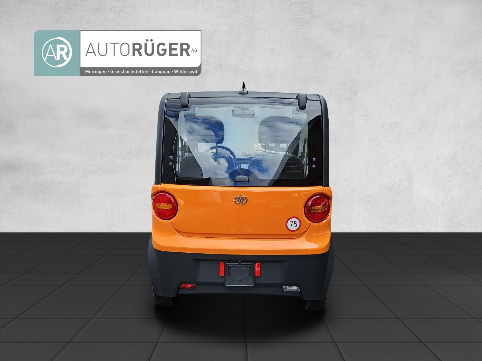 HITEC ECO CAR 80 km/h, Elektro, Neuwagen, Automatik - 5