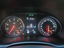 HYUNDAI i30 N 2.0 T-GDi, Benzina, Auto nuove, Automatico - 7