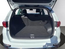 HYUNDAI i30 1.5 T-GDi Origo 48V MH DCT, Mild-Hybrid Petrol/Electric, Second hand / Used, Automatic - 6