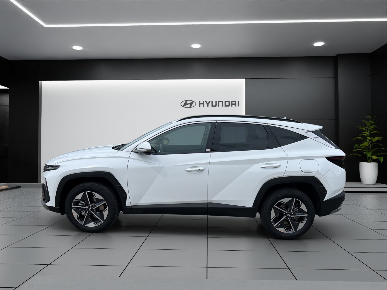 HYUNDAI Tucson 1.6 TGDI HEV Amplia 2WD, Petrol, New car, Automatic - 2