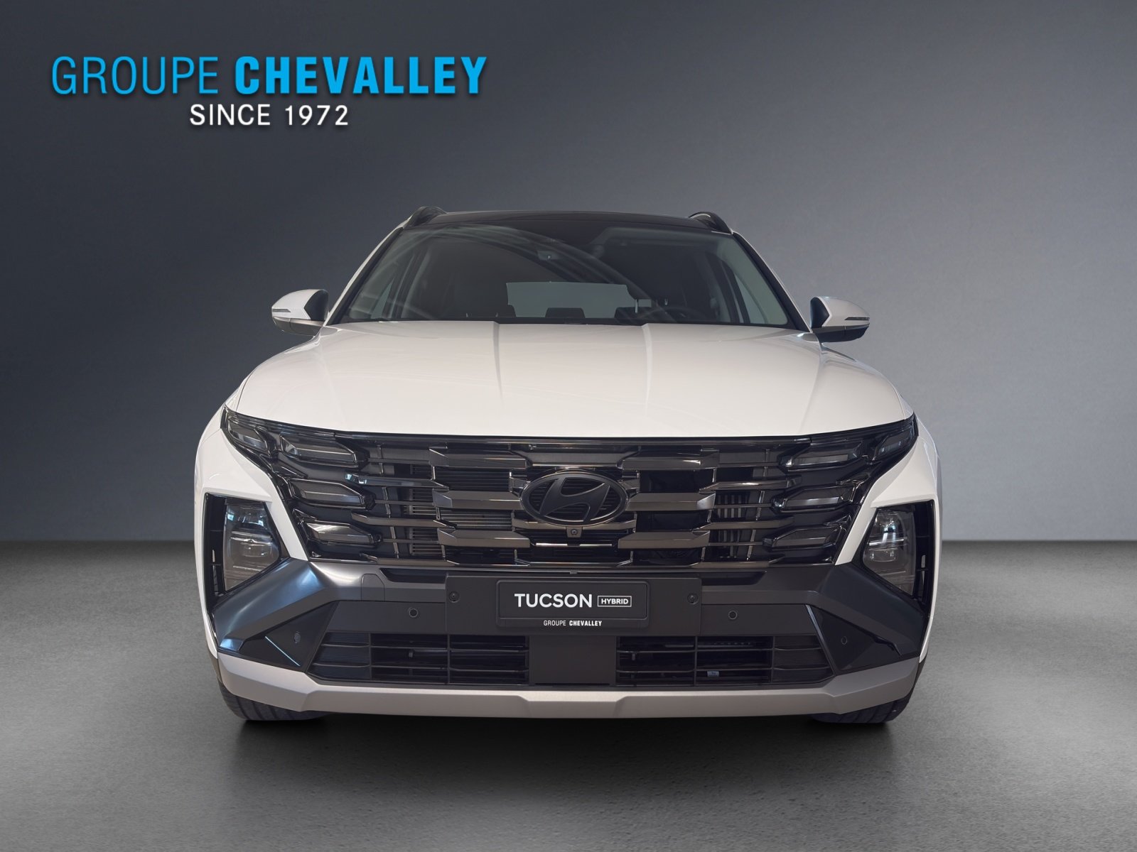 HYUNDAI Tucson 1.6 TGDI HEV Vertex Swiss Edition 4WD, Full-Hybrid Petrol/Electric, Ex-demonstrator, Automatic - 2