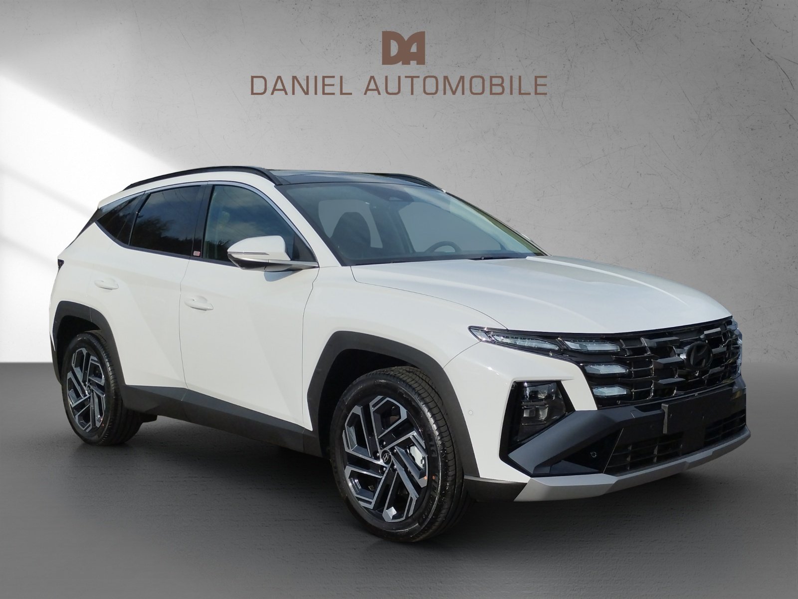 HYUNDAI Tucson 1.6 T-GDi HEV Vertex Sw