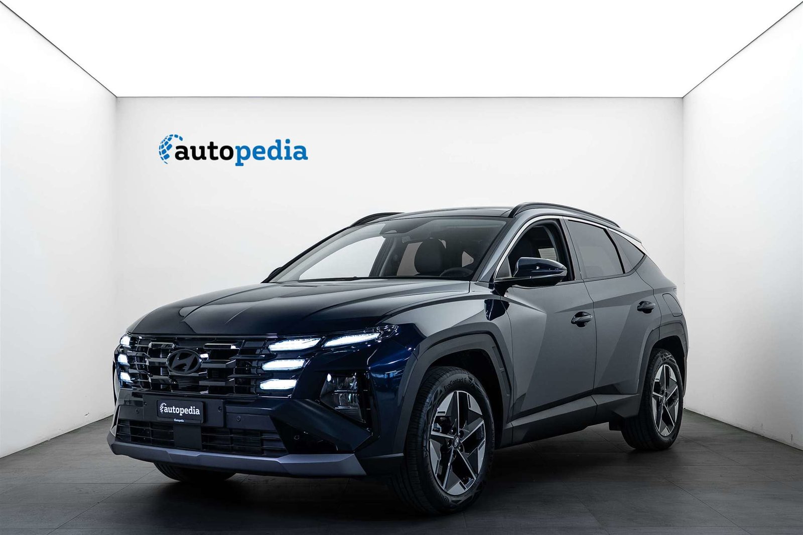 HYUNDAI Tucson 1.6 TGDi PHEV 252PS Techno Sky 4WD Automat
