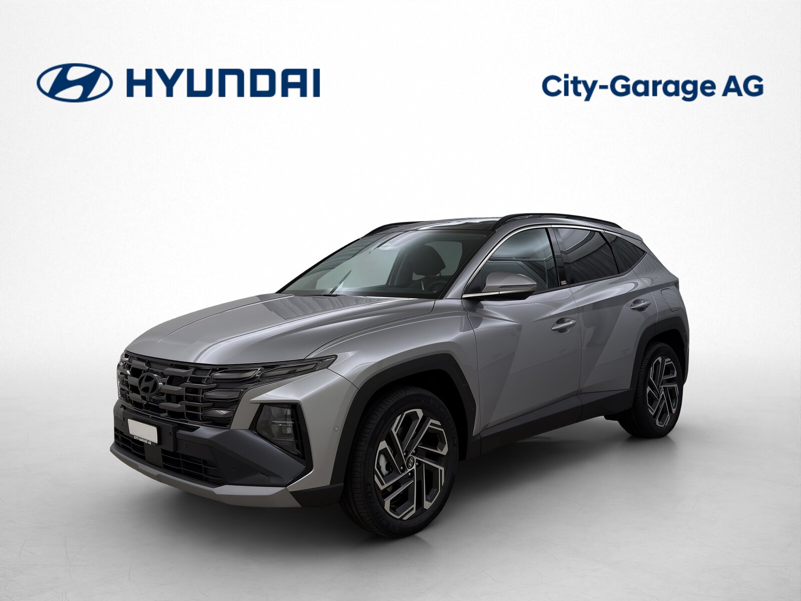 HYUNDAI Tucson 1.6 T-GDi HEV Vertex 4WD