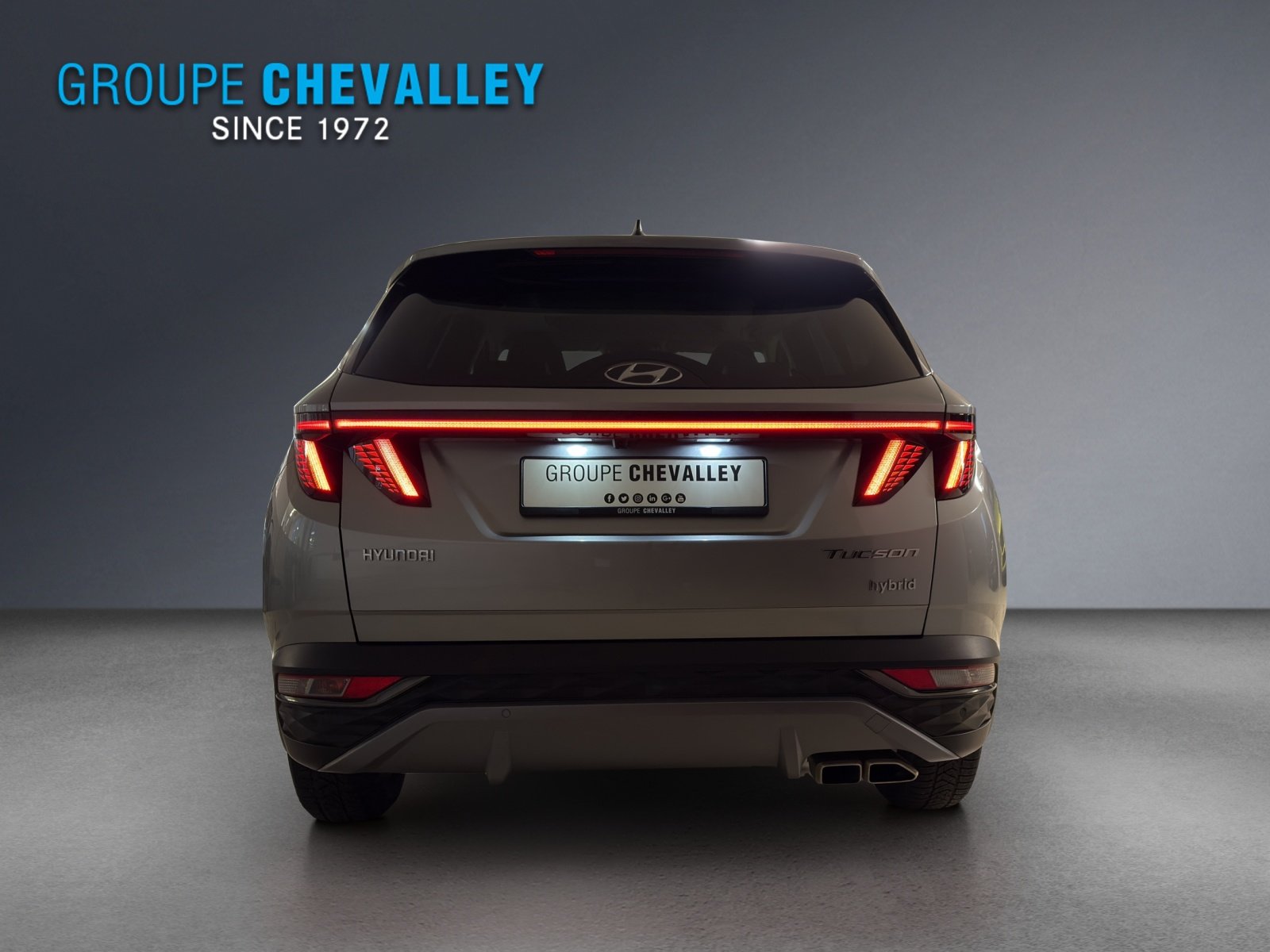 HYUNDAI Tucson 1.6 HEV Vertex 4WD, Hybride Integrale Benzina/Elettrica, Occasioni / Usate, Automatico - 5