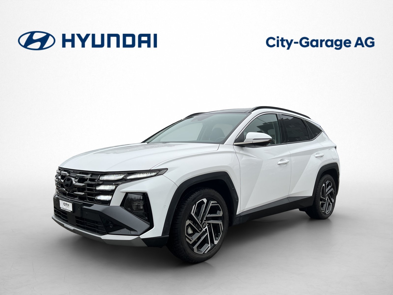 HYUNDAI Tucson 1.6 T-GDi 48V Vertex 4WD