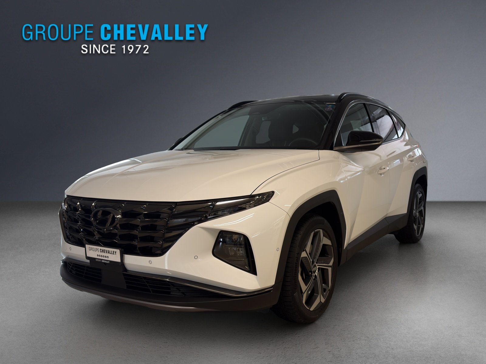 HYUNDAI Tucson 1.6 HEV Vertex 4WD