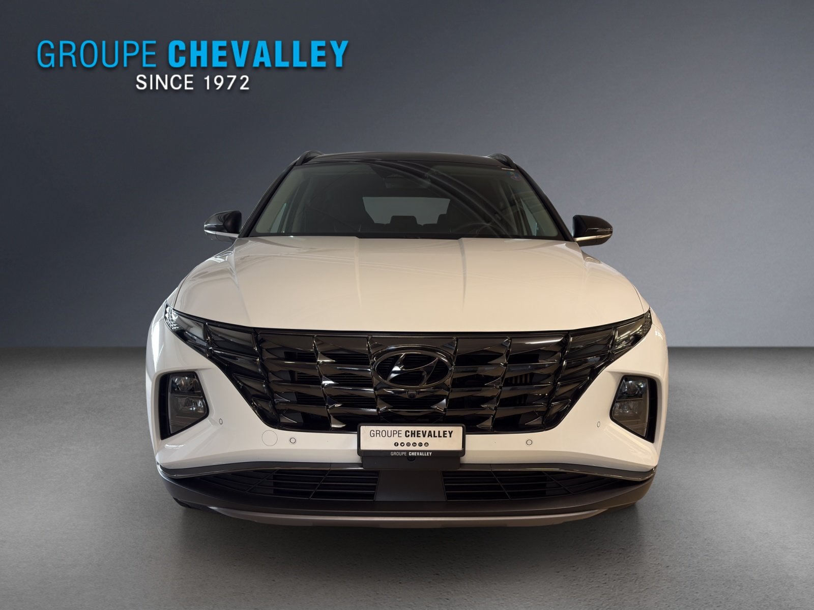 HYUNDAI Tucson 1.6 HEV Vertex 4WD, Full-Hybrid Petrol/Electric, Second hand / Used, Automatic - 2