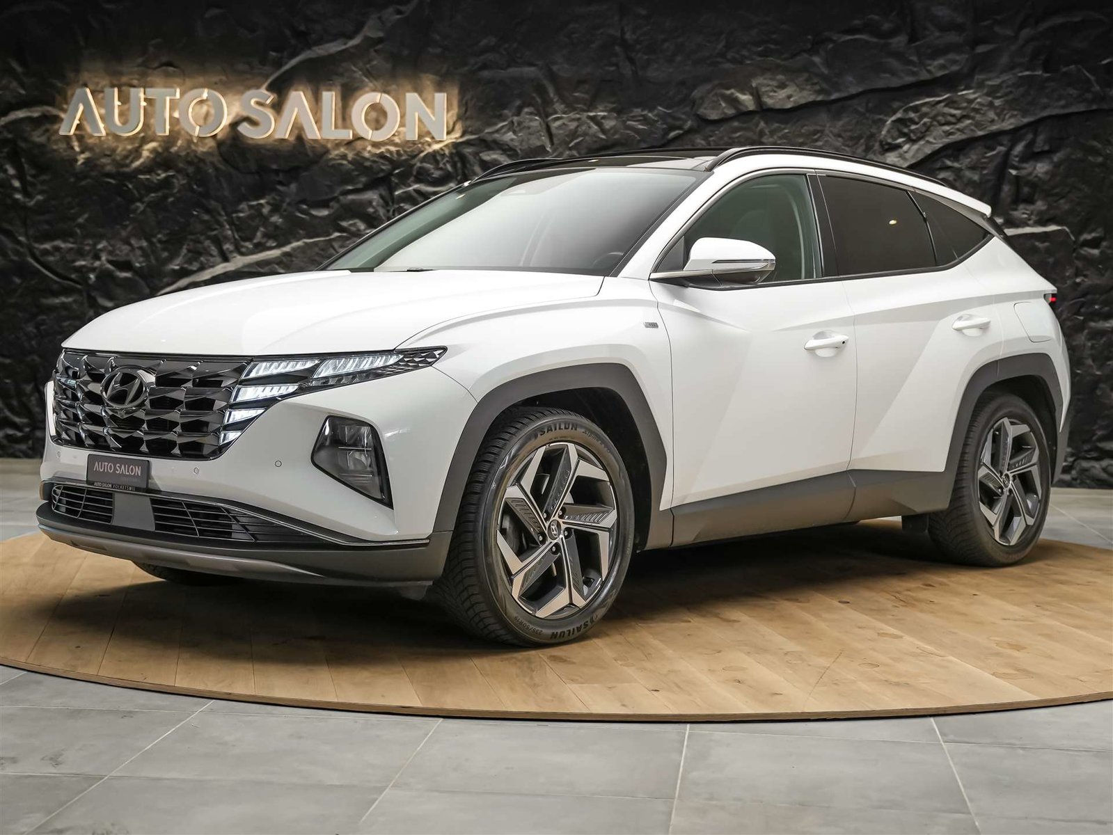 HYUNDAI Tucson 1.6 T-GDi Vertex 4WD *Panorama* 360 Kamera*Kr, Benzina, Occasioni / Usate, Automatico - 2