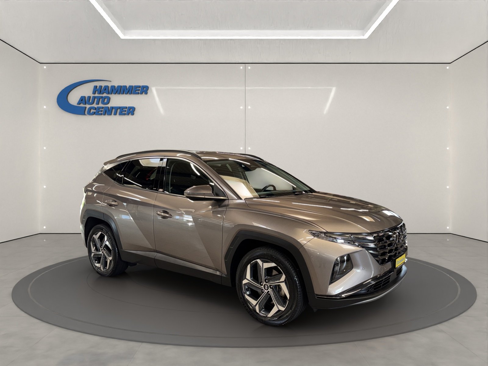 HYUNDAI Tucson 1.6 T-GDi HEV Amplia 4WD, Hybride Intégral Essence/Électricité, Occasion / Utilisé, Automatique - 7