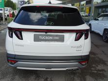 HYUNDAI Tucson 1.6 HEV Vertex 4WD, Voll-Hybrid Benzin/Elektro, Vorführwagen, Automatik - 6