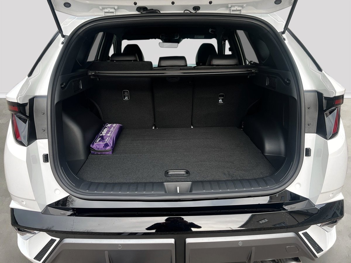 HYUNDAI Tucson 1.6 TGDI HEV N Line LUX pack 4WD, Voll-Hybrid Benzin/Elektro, Vorführwagen, Automat - 4