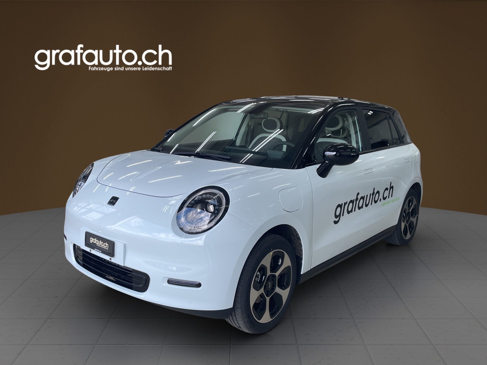 JAC E30X City, Elektro, Vorführwagen, Automatik - 2