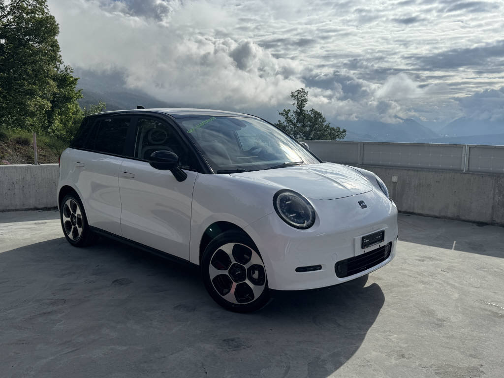 JAC E30X City, Electric, New car, Automatic - 5