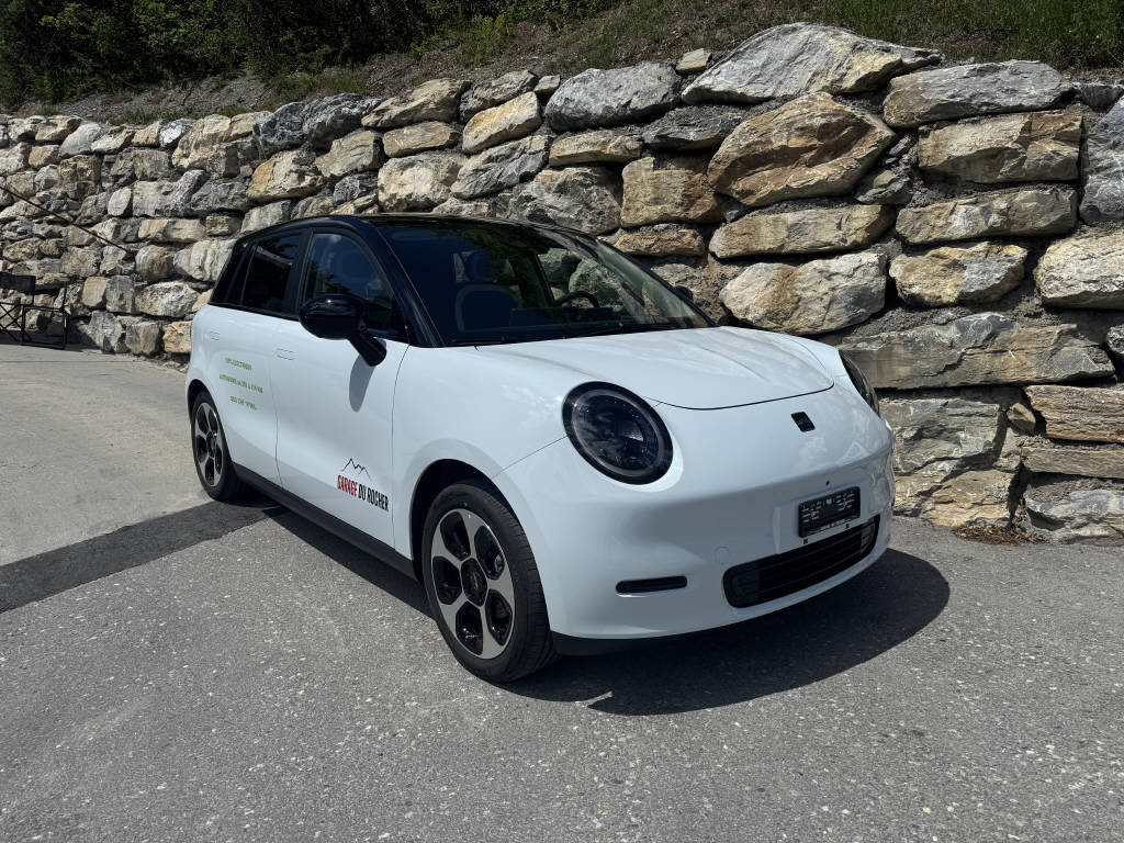 JAC E30X Electric