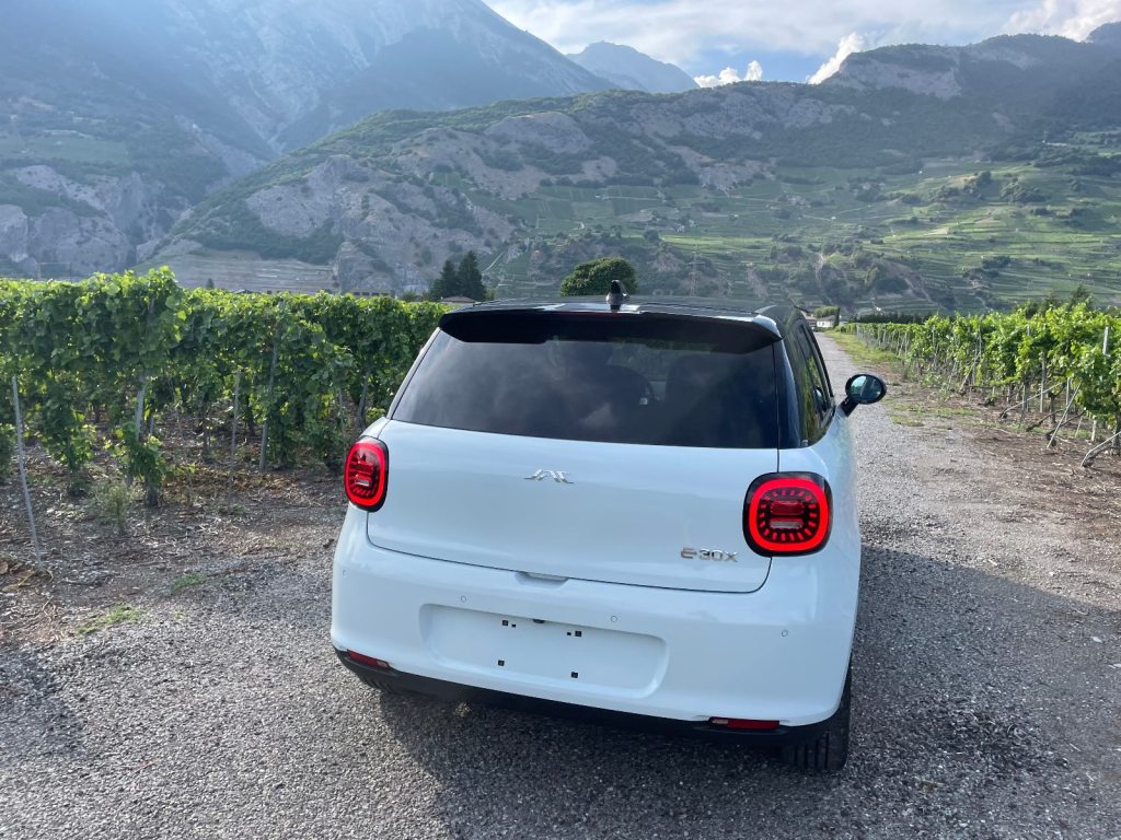 JAC E30X 41 kWh City, Electric, New car, Automatic - 6